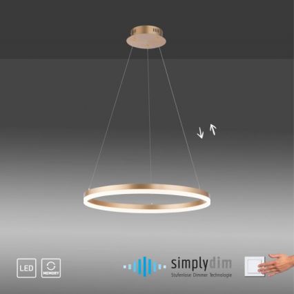 Paul Neuhaus 2382-60 - Led Dimmable κρεμαστό φωτιστικό οροφής TITUS LED/38,5W/230V