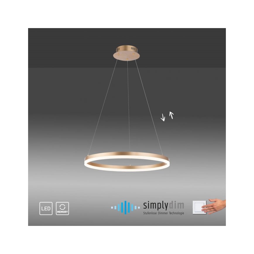 Paul Neuhaus 2382-60 - Led Dimmable κρεμαστό φωτιστικό οροφής TITUS LED/38,5W/230V