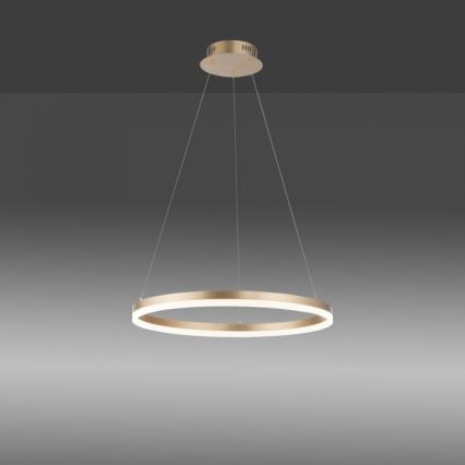 Paul Neuhaus 2382-60 - Led Dimmable κρεμαστό φωτιστικό οροφής TITUS LED/38,5W/230V