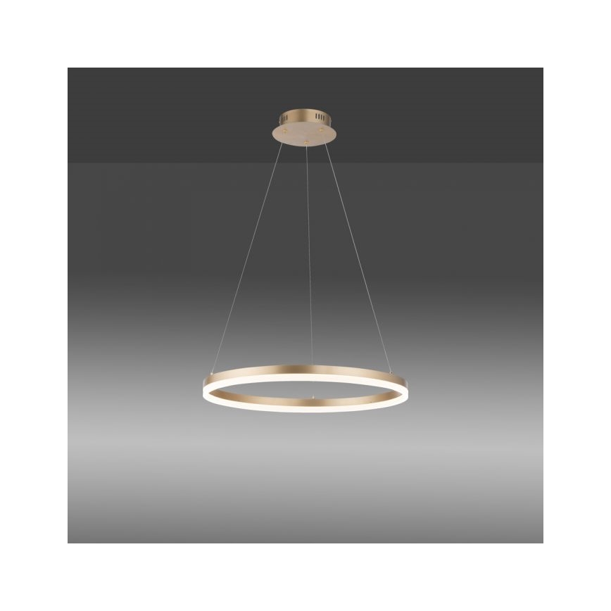 Paul Neuhaus 2382-60 - Led Dimmable κρεμαστό φωτιστικό οροφής TITUS LED/38,5W/230V