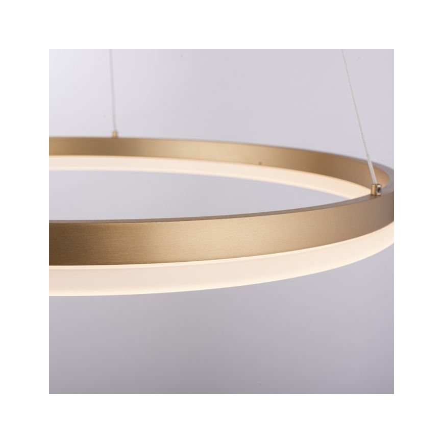 Paul Neuhaus 2382-60 - Led Dimmable κρεμαστό φωτιστικό οροφής TITUS LED/38,5W/230V