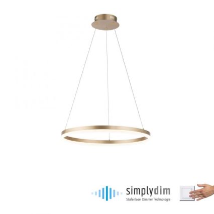 Paul Neuhaus 2382-60 - Led Dimmable κρεμαστό φωτιστικό οροφής TITUS LED/38,5W/230V