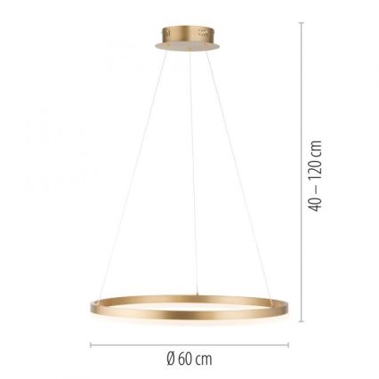 Paul Neuhaus 2382-60 - Led Dimmable κρεμαστό φωτιστικό οροφής TITUS LED/38,5W/230V