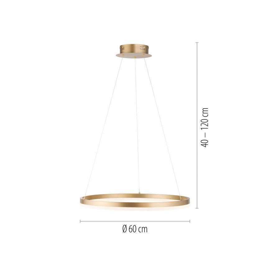 Paul Neuhaus 2382-60 - Led Dimmable κρεμαστό φωτιστικό οροφής TITUS LED/38,5W/230V