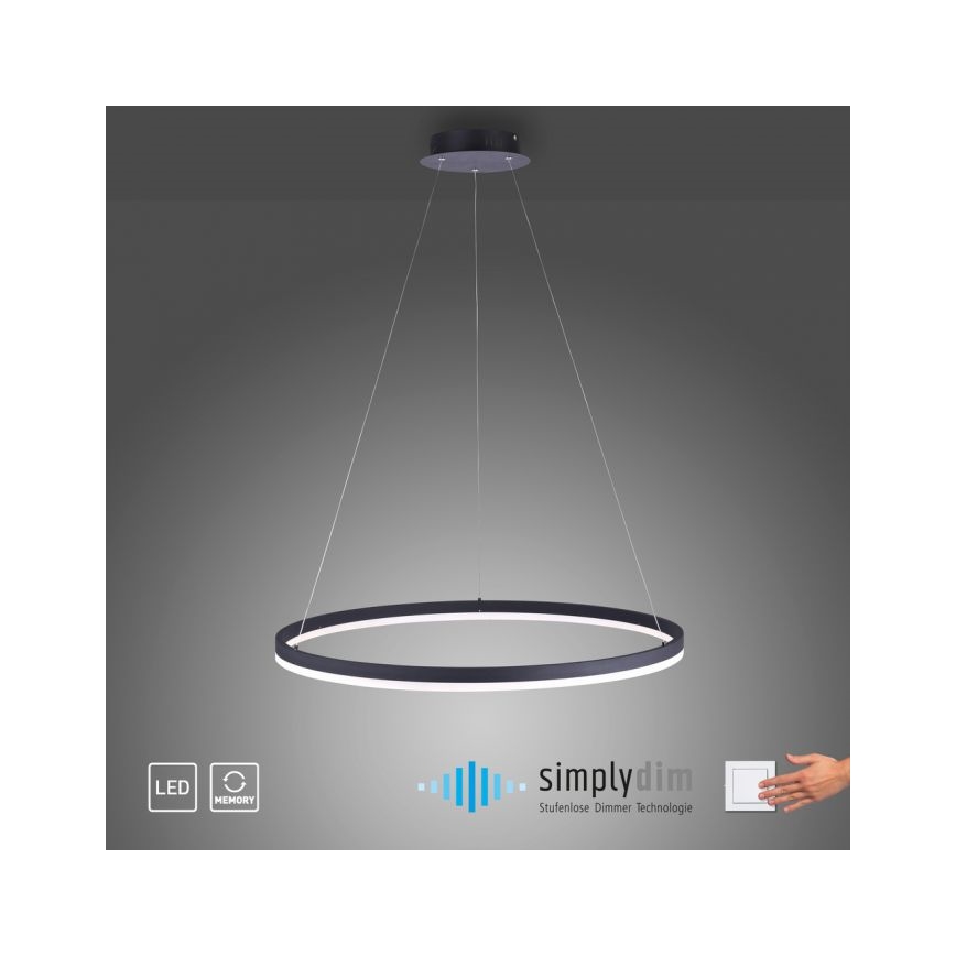 Paul Neuhaus 2383-13 - LED Dimmable πολύφωτο ράγα ITUS LED/50W/230V