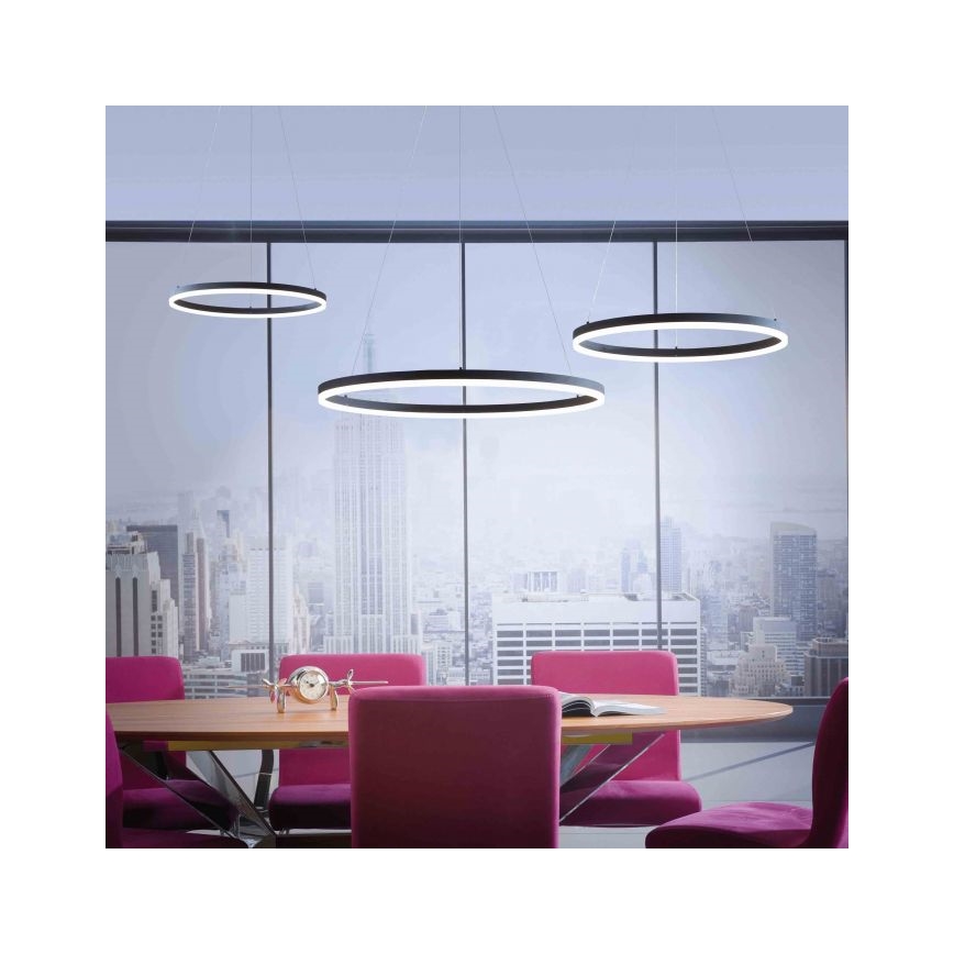Paul Neuhaus 2383-13 - LED Dimmable πολύφωτο ράγα ITUS LED/50W/230V