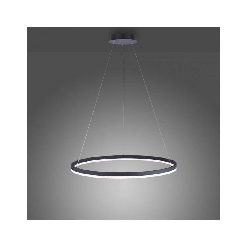 Paul Neuhaus 2383-13 - LED Dimmable πολύφωτο ράγα ITUS LED/50W/230V