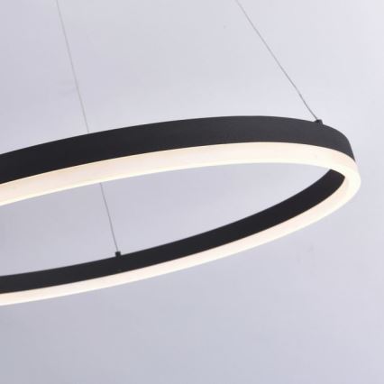 Paul Neuhaus 2383-13 - LED Dimmable πολύφωτο ράγα ITUS LED/50W/230V