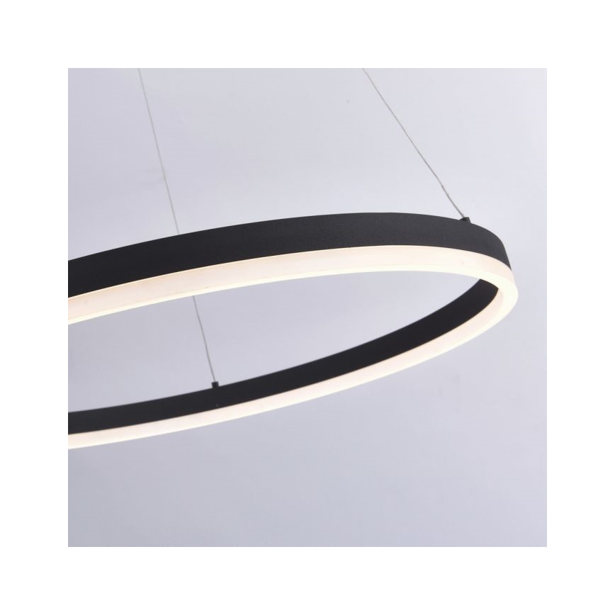 Paul Neuhaus 2383-13 - LED Dimmable πολύφωτο ράγα ITUS LED/50W/230V
