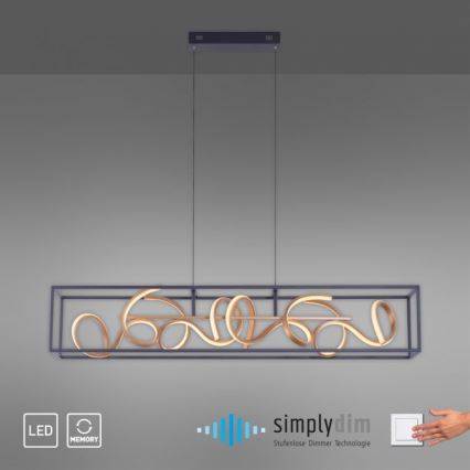 Paul Neuhaus 2416-18 - Πολύφωτο dimmer LED σε σχοινί SELINA 4xLED/10,2W/230V