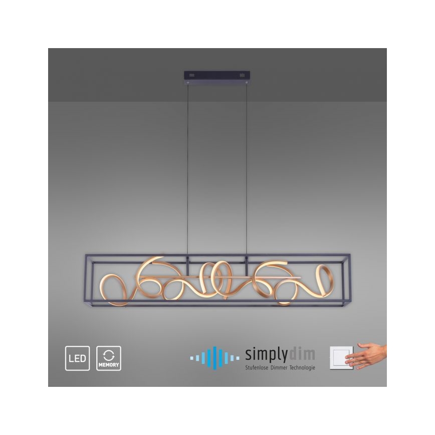 Paul Neuhaus 2416-18 - Πολύφωτο dimmer LED σε σχοινί SELINA 4xLED/10,2W/230V