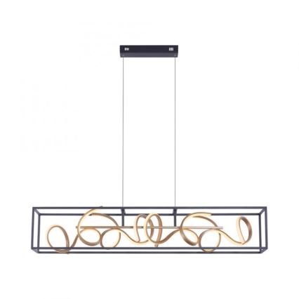 Paul Neuhaus 2416-18 - Πολύφωτο dimmer LED σε σχοινί SELINA 4xLED/10,2W/230V