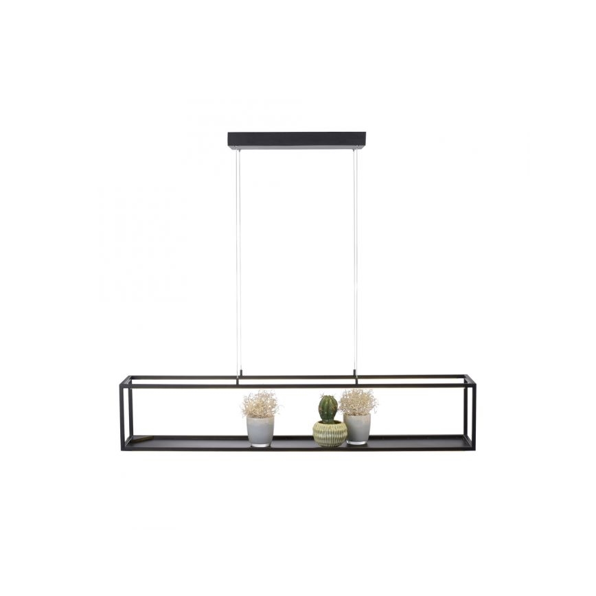 Paul Neuhaus 2441-18 - LED Dimmable πολύφωτο κρεμαστό CONTURA 4xLED/8W/230V