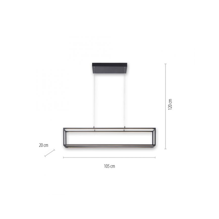 Paul Neuhaus 2441-18 - LED Dimmable πολύφωτο κρεμαστό CONTURA 4xLED/8W/230V