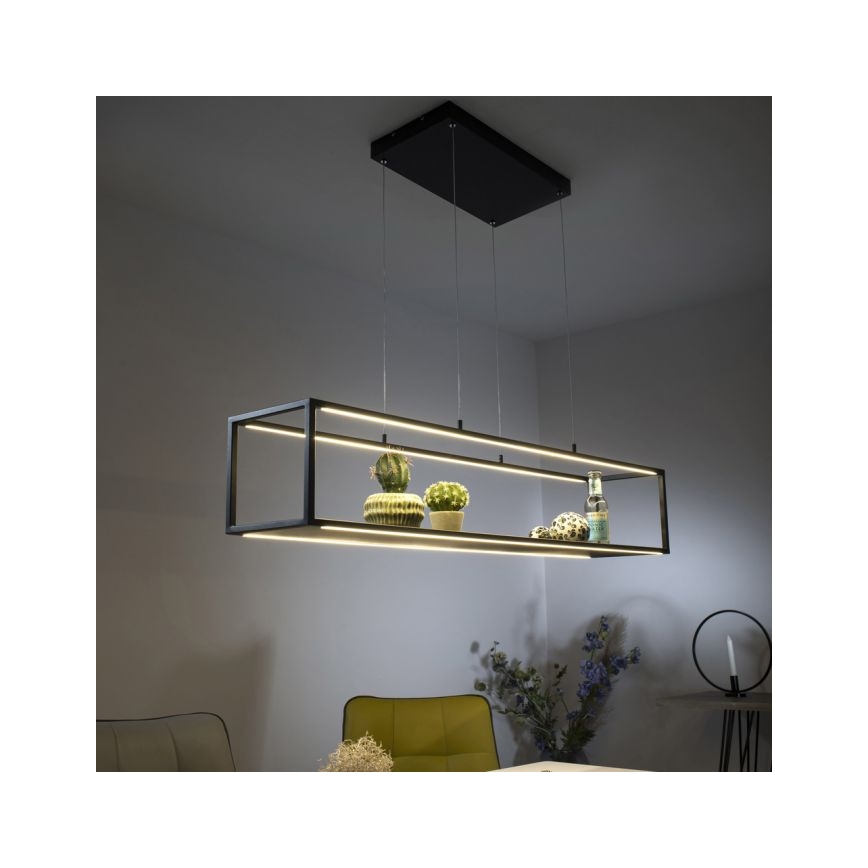 Paul Neuhaus 2441-18 - LED Dimmable πολύφωτο κρεμαστό CONTURA 4xLED/8W/230V