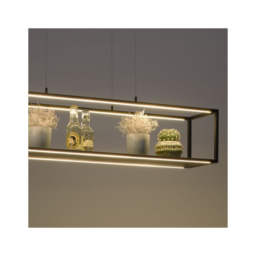 Paul Neuhaus 2441-18 - LED Dimmable πολύφωτο κρεμαστό CONTURA 4xLED/8W/230V