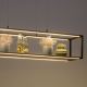 Paul Neuhaus 2441-18 - LED Dimmable πολύφωτο κρεμαστό CONTURA 4xLED/8W/230V