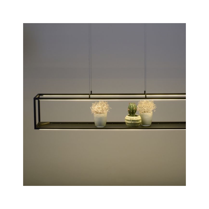 Paul Neuhaus 2441-18 - LED Dimmable πολύφωτο κρεμαστό CONTURA 4xLED/8W/230V