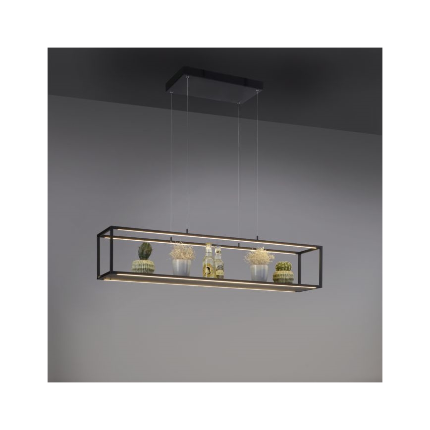 Paul Neuhaus 2441-18 - LED Dimmable πολύφωτο κρεμαστό CONTURA 4xLED/8W/230V