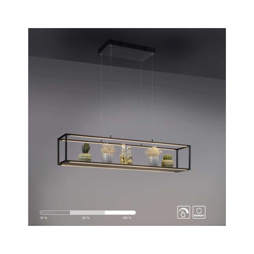 Paul Neuhaus 2441-18 - LED Dimmable πολύφωτο κρεμαστό CONTURA 4xLED/8W/230V