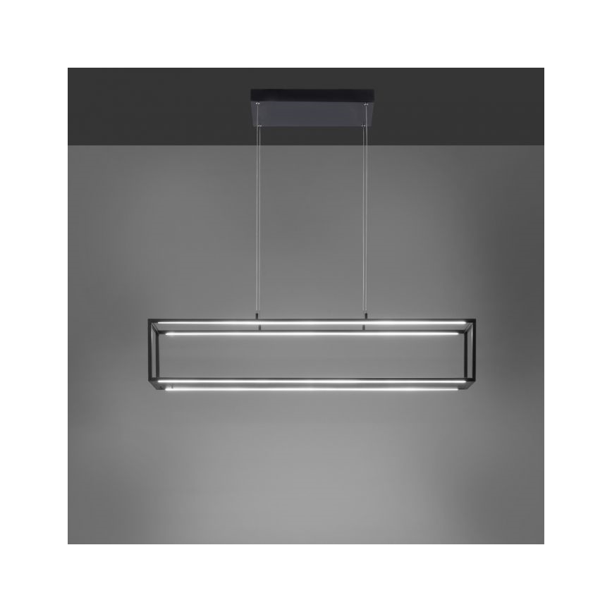 Paul Neuhaus 2441-18 - LED Dimmable πολύφωτο κρεμαστό CONTURA 4xLED/8W/230V