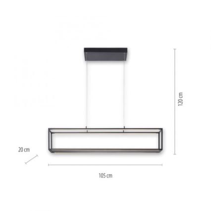 Paul Neuhaus 2441-18 - LED Dimmable πολύφωτο κρεμαστό CONTURA 4xLED/8W/230V