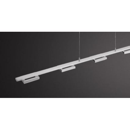 Paul Neuhaus 2446-55 - Πολύφωτο ράγα LED Dimmable INIGO 5xLED/4W/230V