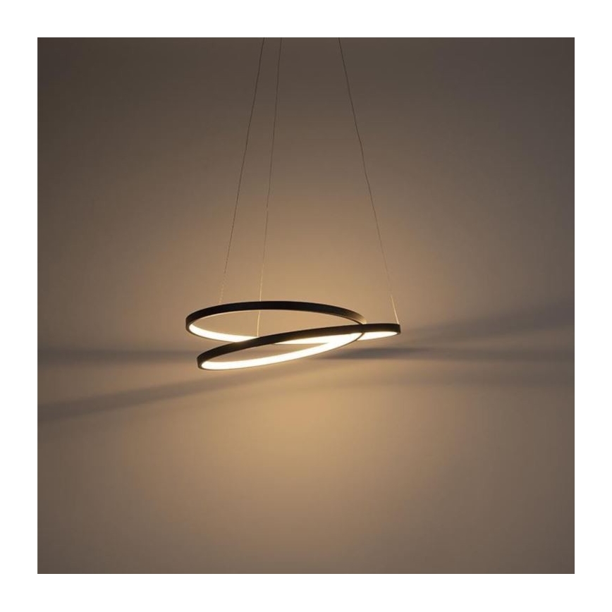 Paul Neuhaus 2472-18 - Πολύφωτο LED Dimmable ράγα ROMAN LED/30W/230V μαύρο