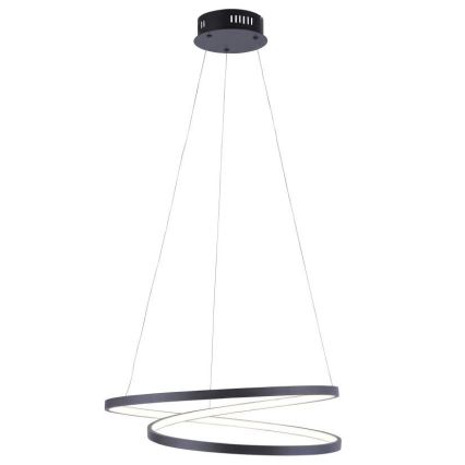 Paul Neuhaus 2472-18 - Πολύφωτο LED Dimmable ράγα ROMAN LED/30W/230V μαύρο