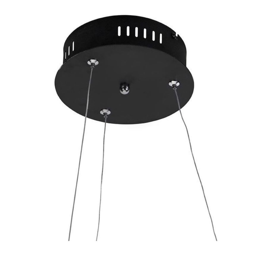 Paul Neuhaus 2472-18 - Πολύφωτο LED Dimmable ράγα ROMAN LED/30W/230V μαύρο