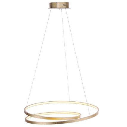 Paul Neuhaus 2474-12 - Πολύφωτο LED Dimmable ράγα ROMAN LED/40W/230V χρυσό