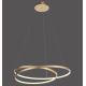 Paul Neuhaus 2474-12 - Πολύφωτο LED Dimmable ράγα ROMAN LED/40W/230V χρυσό