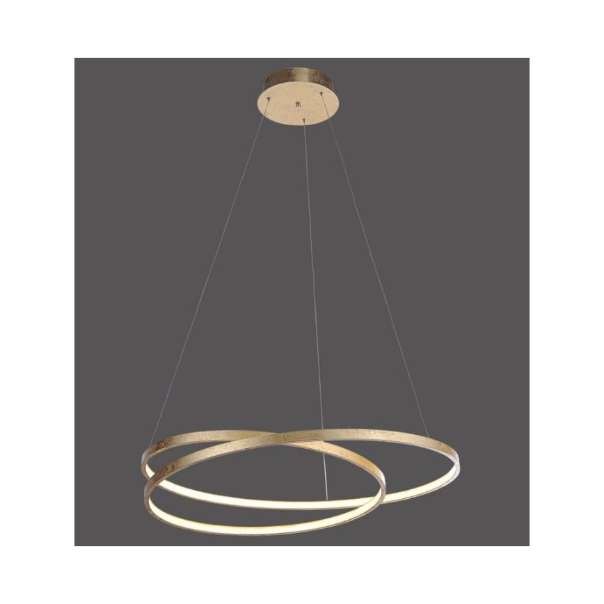 Paul Neuhaus 2474-12 - Πολύφωτο LED Dimmable ράγα ROMAN LED/40W/230V χρυσό