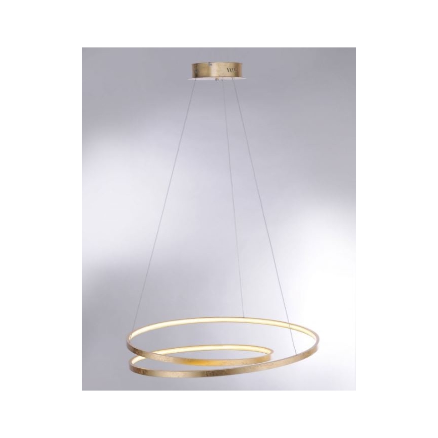 Paul Neuhaus 2474-12 - Πολύφωτο LED Dimmable ράγα ROMAN LED/40W/230V χρυσό