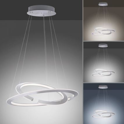 Paul Neuhaus 2491-55 - Ρυθμιζόμενο LED φωτιστικό οροφής με καλώδιο ALESSA 2xLED/26W/230V + τηλεχειριστήριο