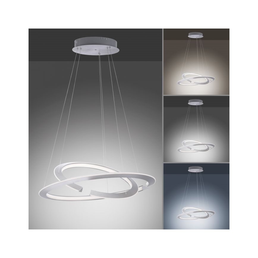 Paul Neuhaus 2491-55 - Ρυθμιζόμενο LED φωτιστικό οροφής με καλώδιο ALESSA 2xLED/26W/230V + τηλεχειριστήριο