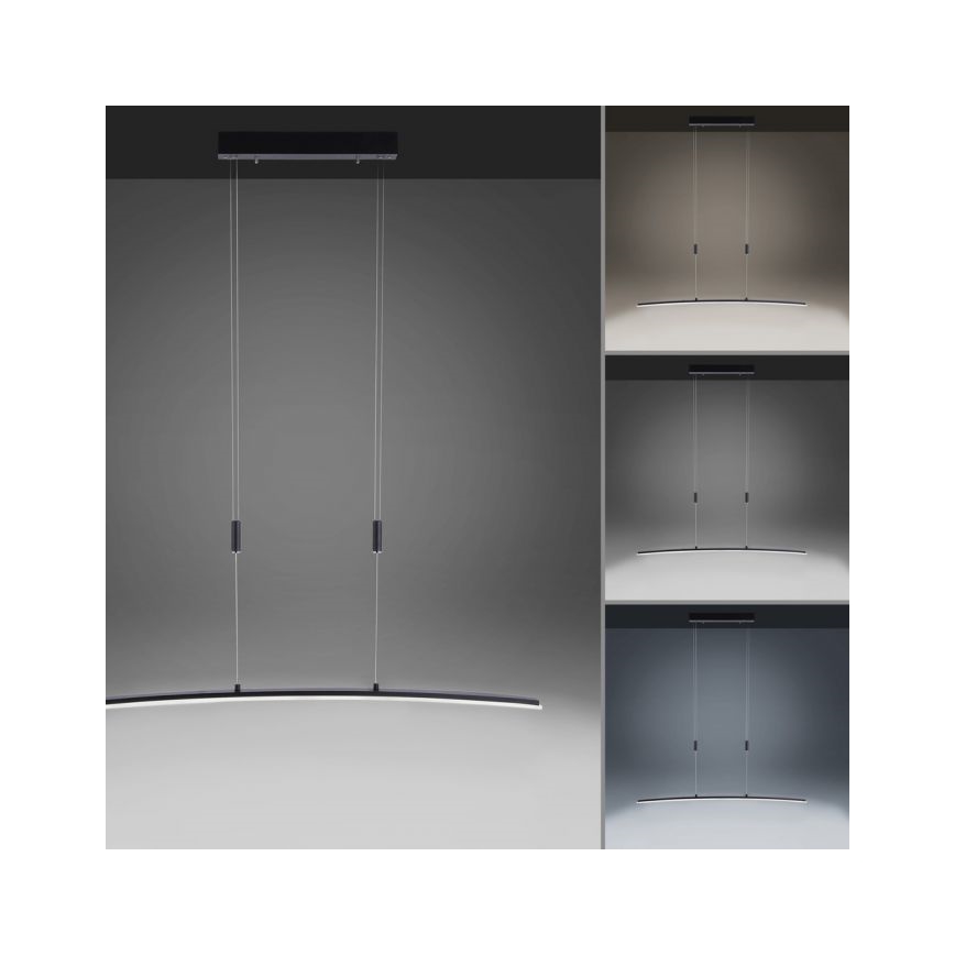 Paul Neuhaus 2530-13 - LED Dimmable πολύφωτο ράγα JANINA LED/27W/230V