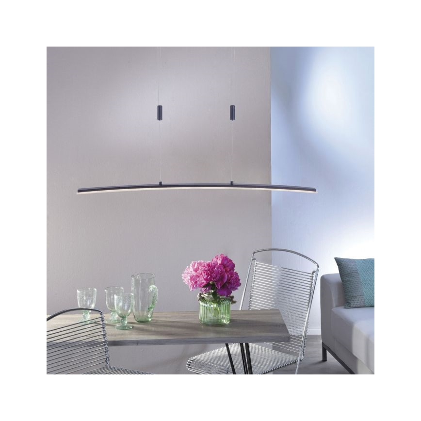Paul Neuhaus 2530-13 - LED Dimmable πολύφωτο ράγα JANINA LED/27W/230V