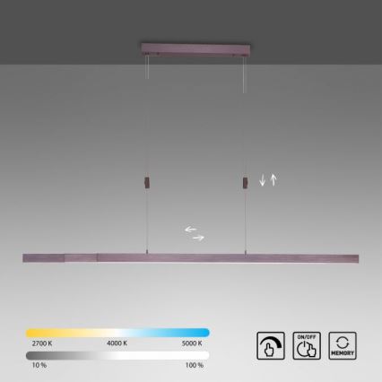 Paul Neuhaus 2568-24 - Led Dimmable κρεμαστό φωτιστικό οροφής ADRIANA LED/14W/230V 2700-5000K