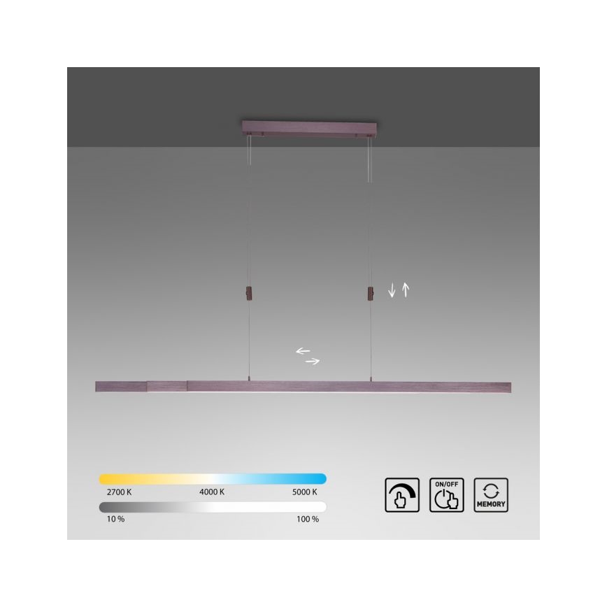 Paul Neuhaus 2568-24 - Led Dimmable κρεμαστό φωτιστικό οροφής ADRIANA LED/14W/230V 2700-5000K