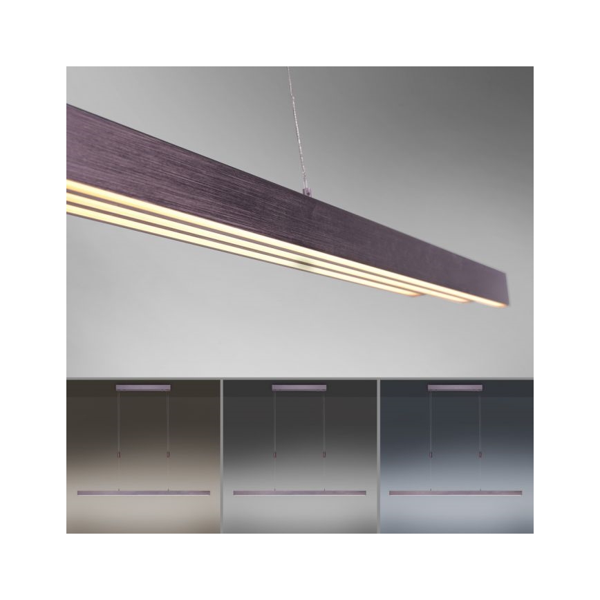 Paul Neuhaus 2568-24 - Led Dimmable κρεμαστό φωτιστικό οροφής ADRIANA LED/14W/230V 2700-5000K