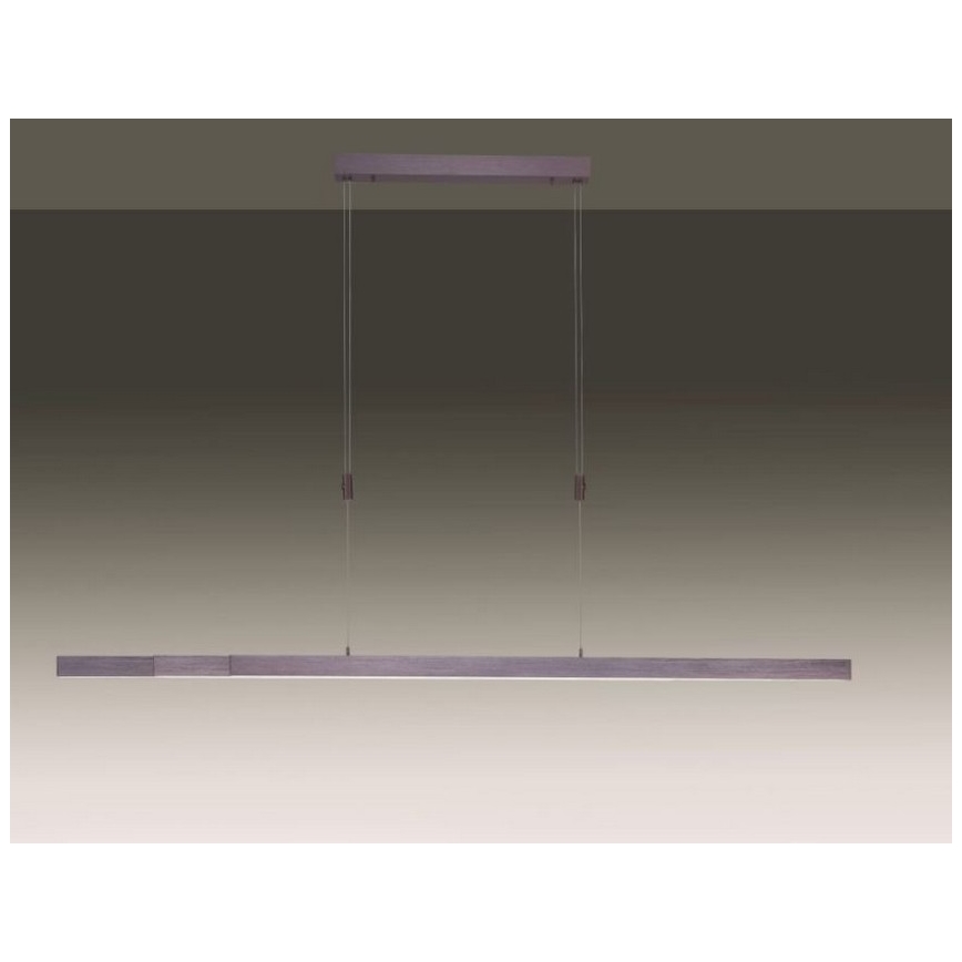 Paul Neuhaus 2568-24 - Led Dimmable κρεμαστό φωτιστικό οροφής ADRIANA LED/14W/230V 2700-5000K