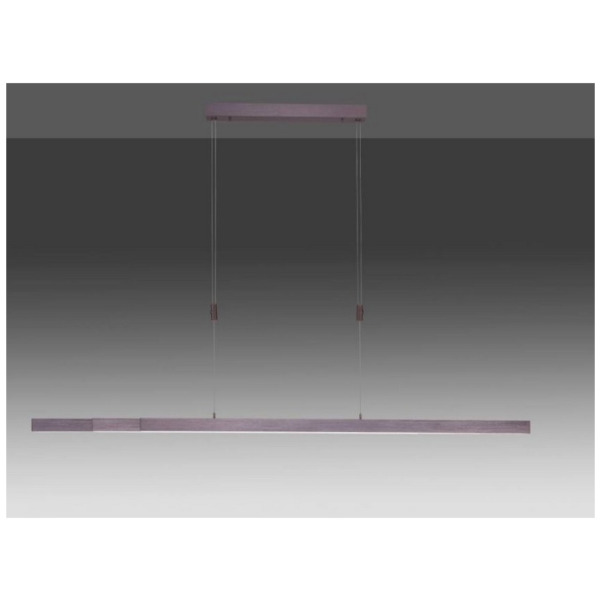 Paul Neuhaus 2568-24 - Led Dimmable κρεμαστό φωτιστικό οροφής ADRIANA LED/14W/230V 2700-5000K