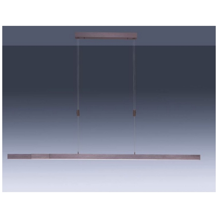 Paul Neuhaus 2568-24 - Led Dimmable κρεμαστό φωτιστικό οροφής ADRIANA LED/14W/230V 2700-5000K