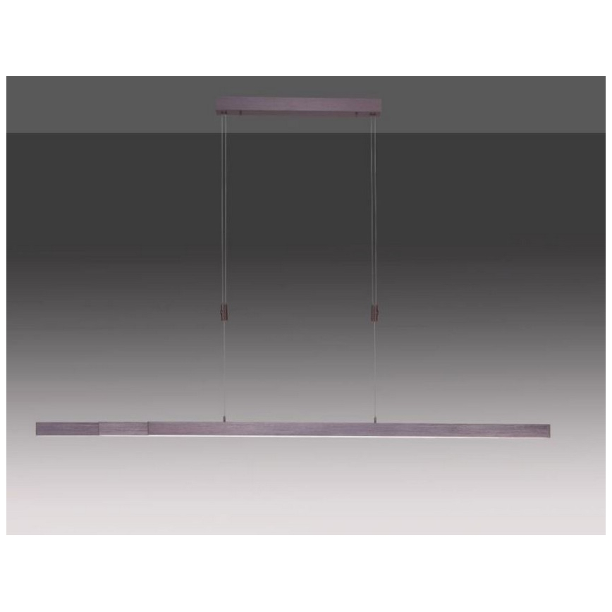 Paul Neuhaus 2568-24 - Led Dimmable κρεμαστό φωτιστικό οροφής ADRIANA LED/14W/230V 2700-5000K