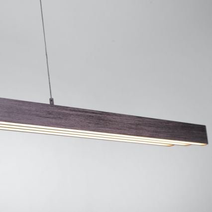 Paul Neuhaus 2568-24 - Led Dimmable κρεμαστό φωτιστικό οροφής ADRIANA LED/14W/230V 2700-5000K