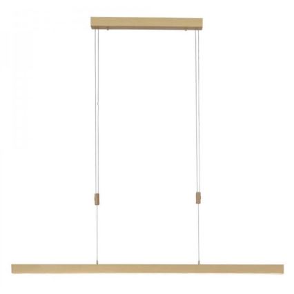 Paul Neuhaus 2568-60 - Led Dimmable κρεμαστό φωτιστικό οροφής ADRIANA LED/14W/230V  2700-5000K ορείχαλκος