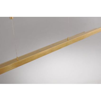 Paul Neuhaus 2568-60 - Led Dimmable κρεμαστό φωτιστικό οροφής ADRIANA LED/14W/230V  2700-5000K ορείχαλκος