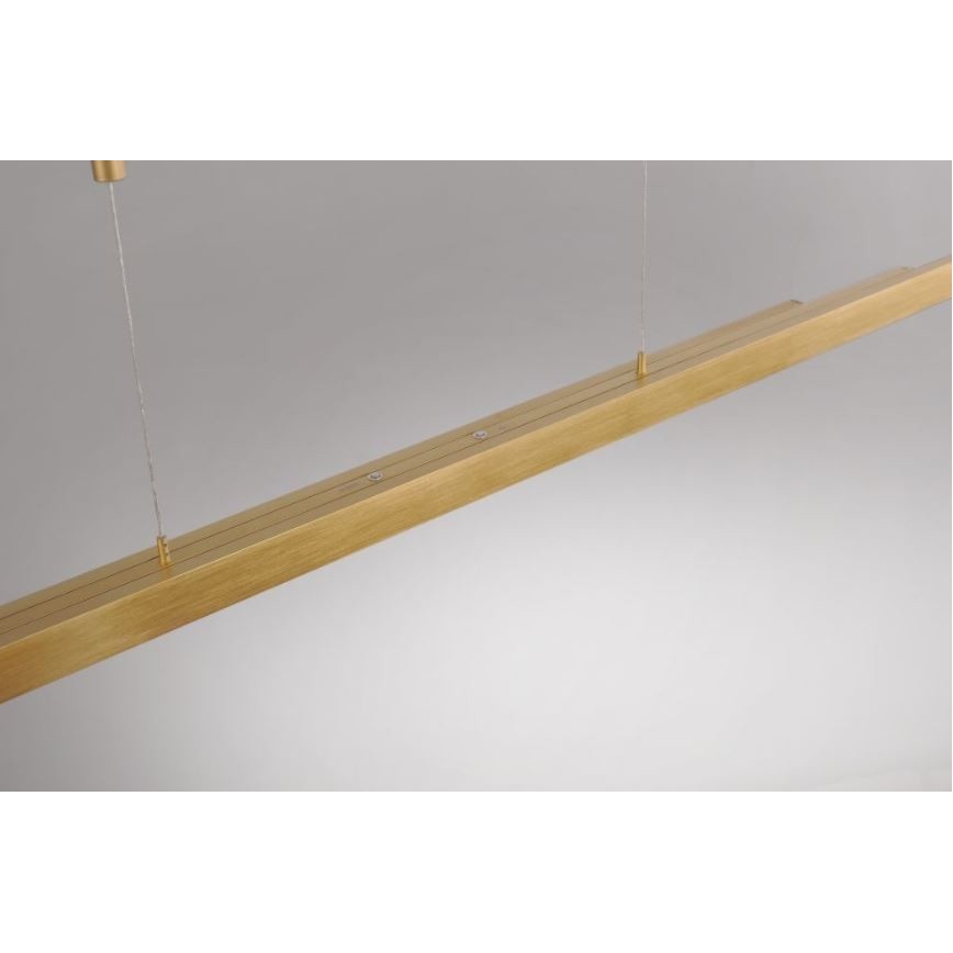 Paul Neuhaus 2568-60 - Led Dimmable κρεμαστό φωτιστικό οροφής ADRIANA LED/14W/230V  2700-5000K ορείχαλκος