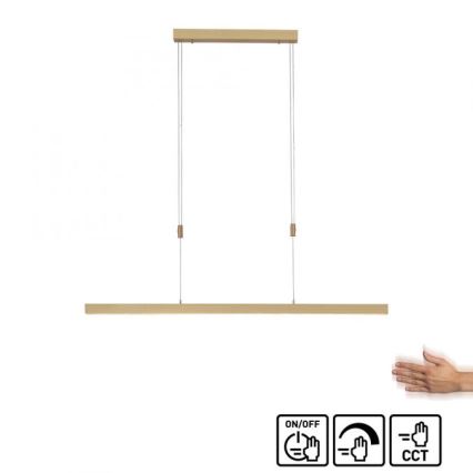 Paul Neuhaus 2568-60 - Led Dimmable κρεμαστό φωτιστικό οροφής ADRIANA LED/14W/230V  2700-5000K ορείχαλκος